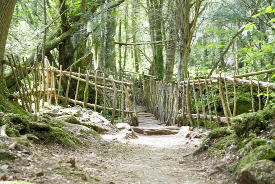Puzzlewood - Inspirasi Lord Of The Ring