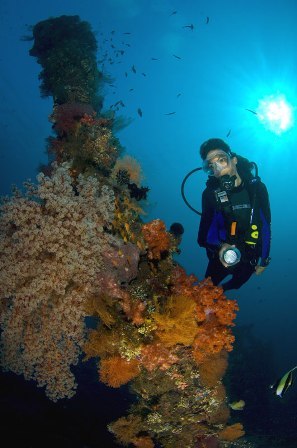 10 Tempat Diving Terindah DI Indonesia