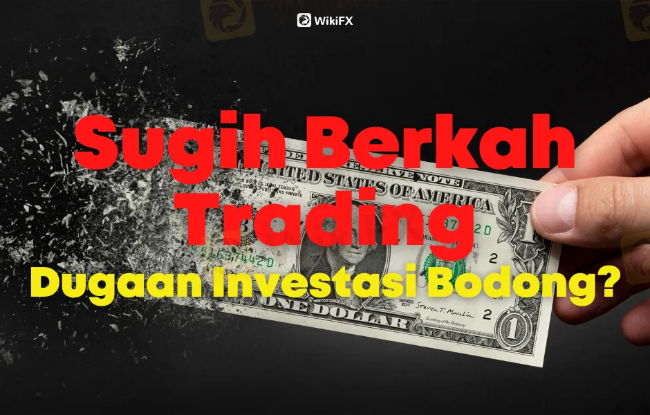 sugih-berkah-trading-dugaan-investasi-bodong