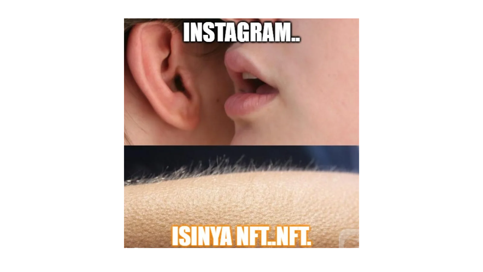 Ini Nih! Fitur NFT Instagram