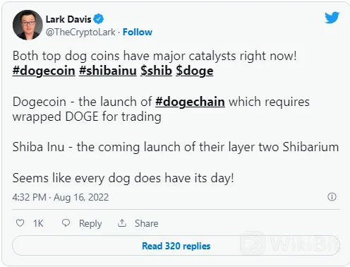 Hati-hati! Situs yang Berpotensi Penipuan &quot;Dogechain&quot; Di Jaringan Ethereum