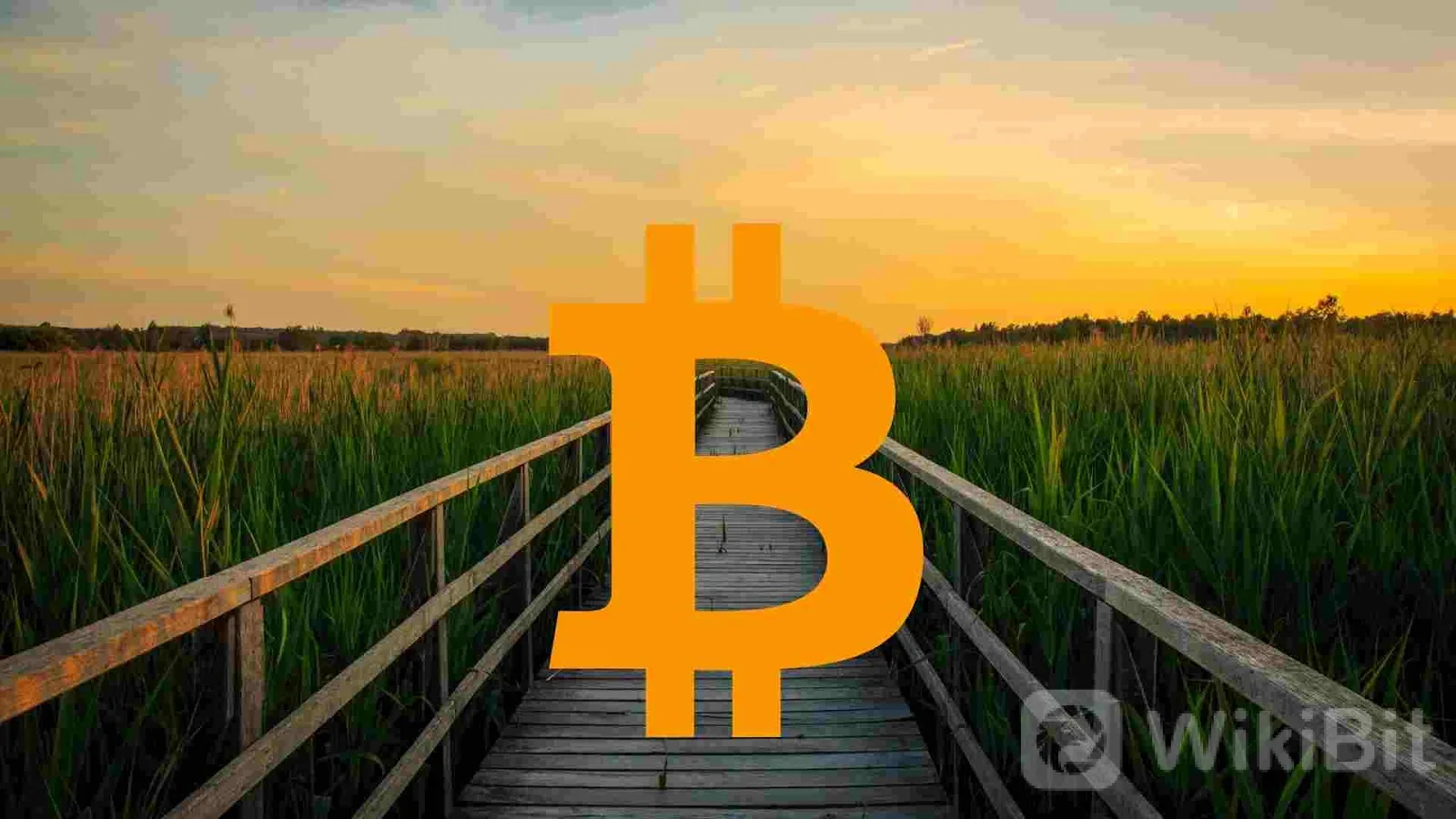 Masa Depan Cryptocurrency: Mungkinkah Masa Depan Uang?