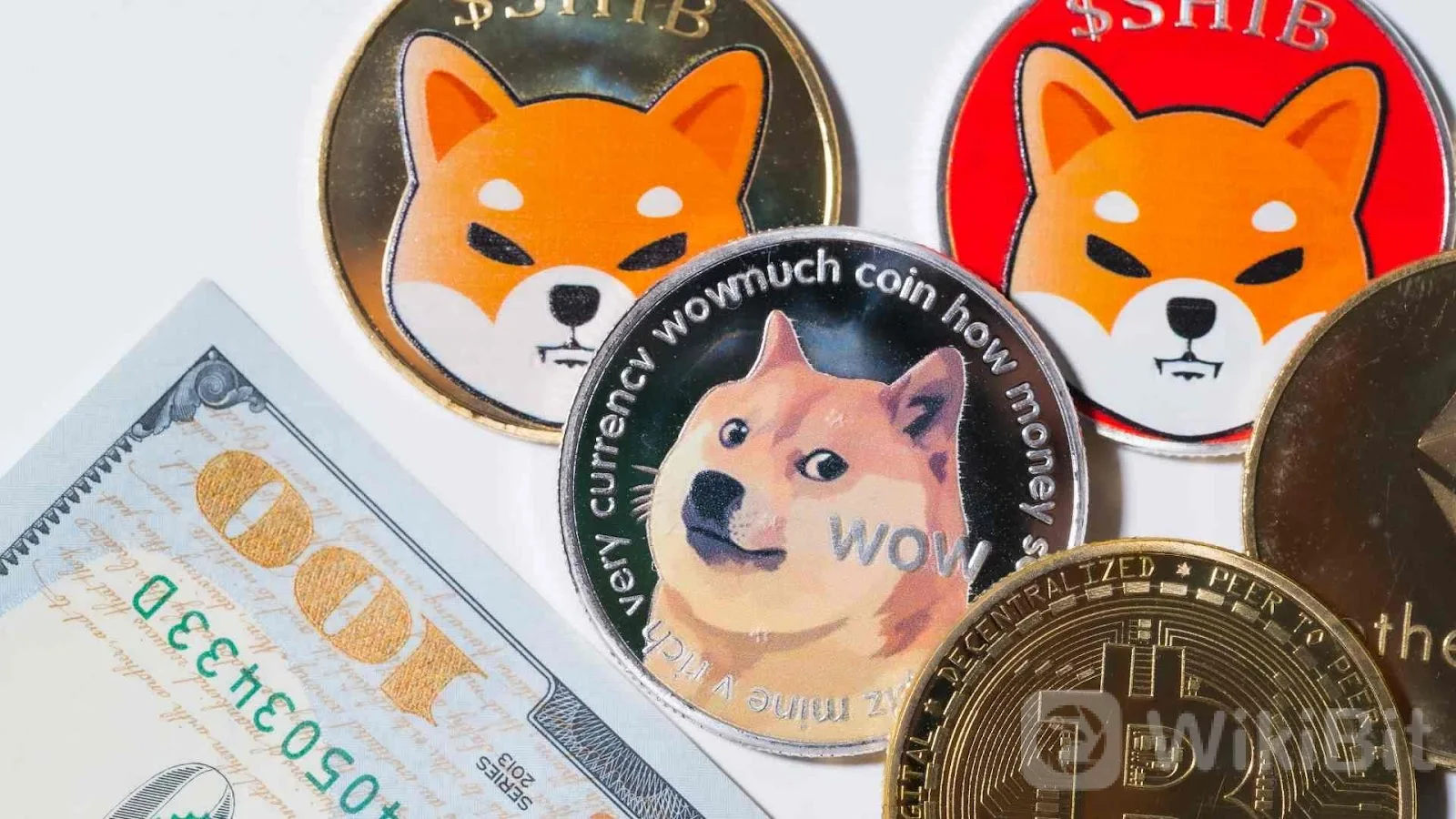Gini Cara Deteksi Gelembung Crypto