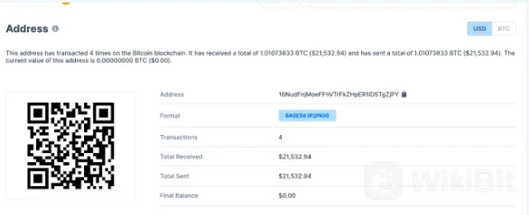 Akun YouTuber Dengan 13 juta Pengikut Diretas Crypto Scammer