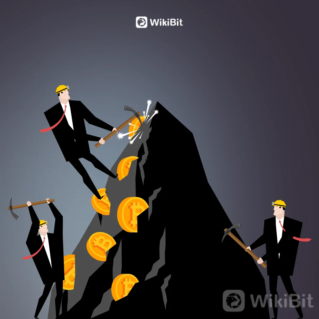 Mining Crypto Sendiri Atau Berkelompok | Mana Yang Lebih Untung?