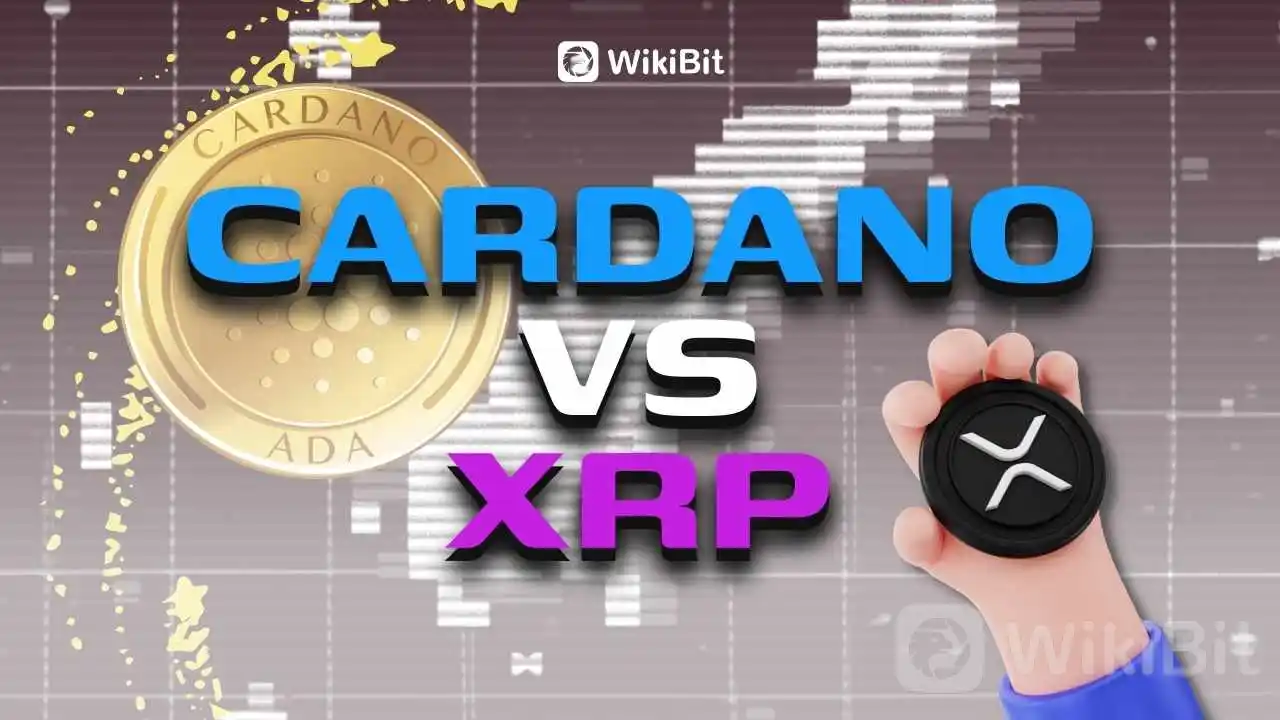 drama-panas-baru--cardano-vs-xrp