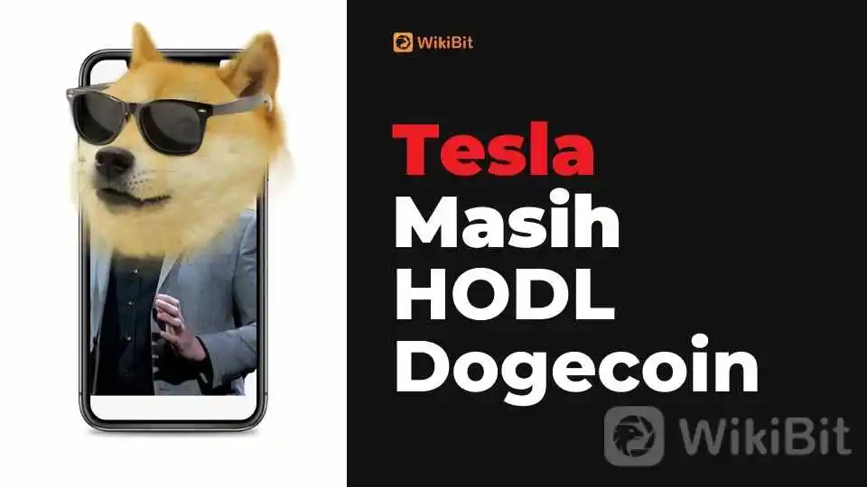 tesla-akan-membeli-kembali-bitcoin-dan-masih-hodl-doge