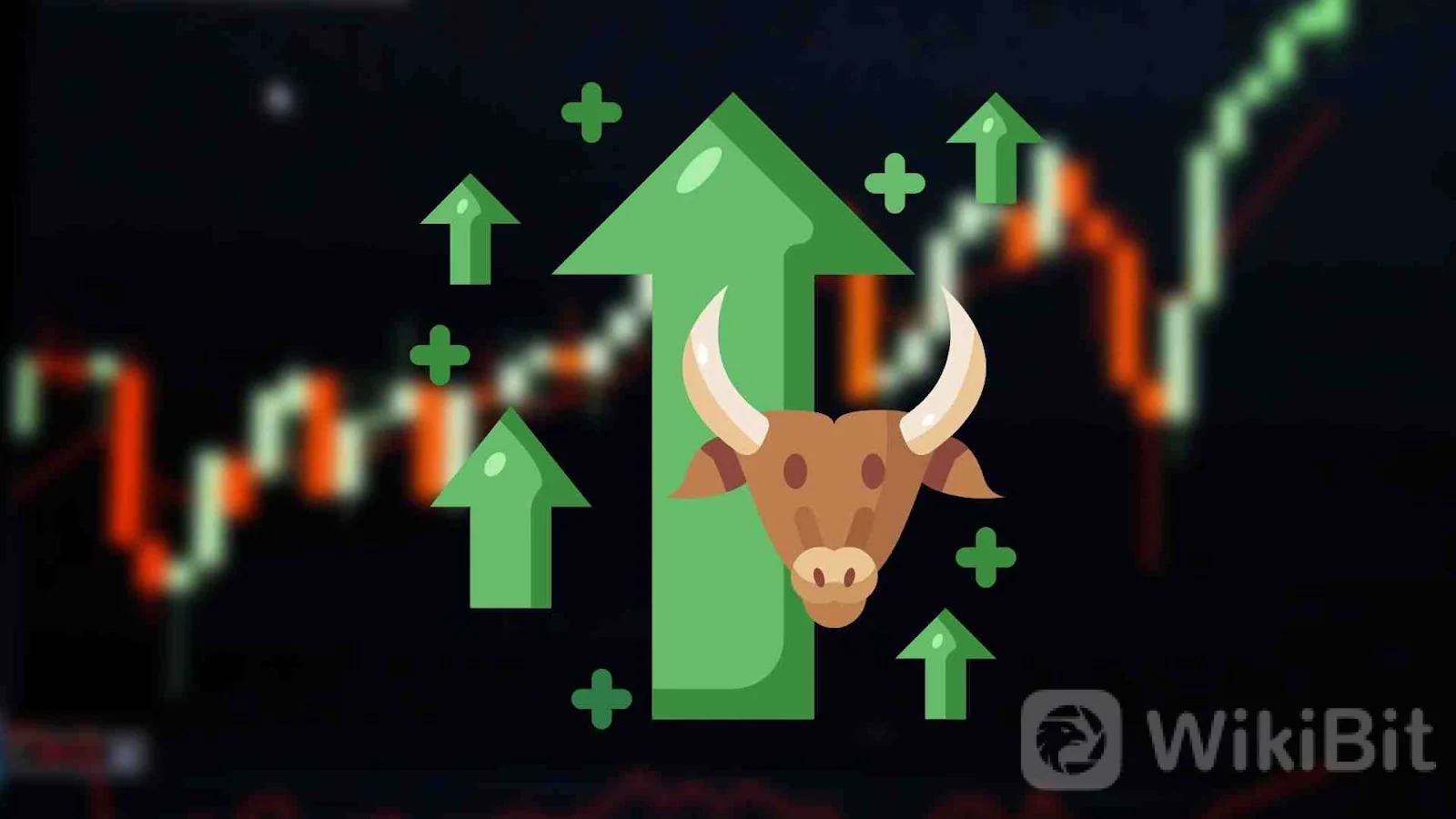 Apa Itu Pasar Bull dan Bear Di Kripto?