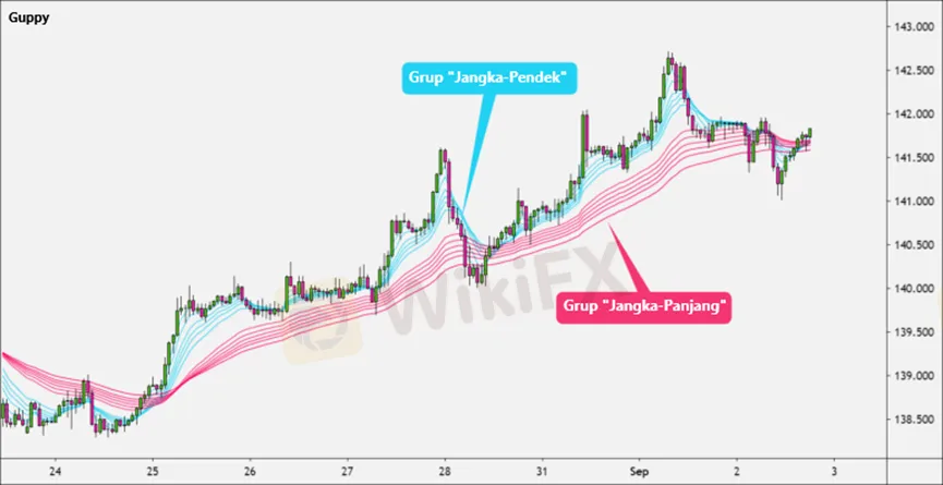 Cara Trading Tren dengan Guppy Multiple Moving Average (GMMA)