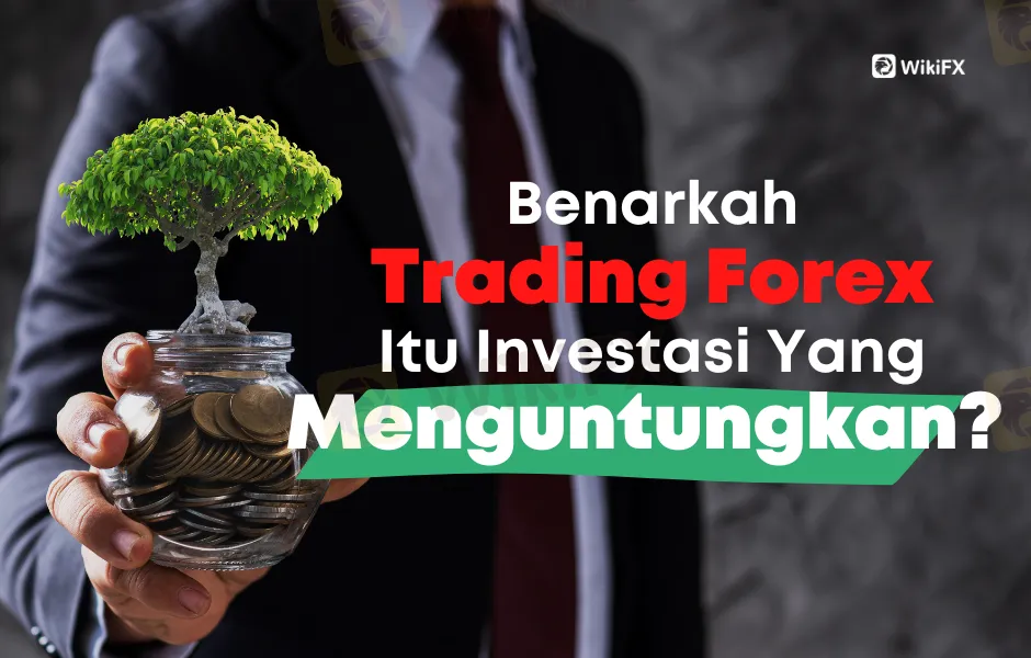 Benarkah Trading Forex Adalah Investasi Yang Menguntungkan?