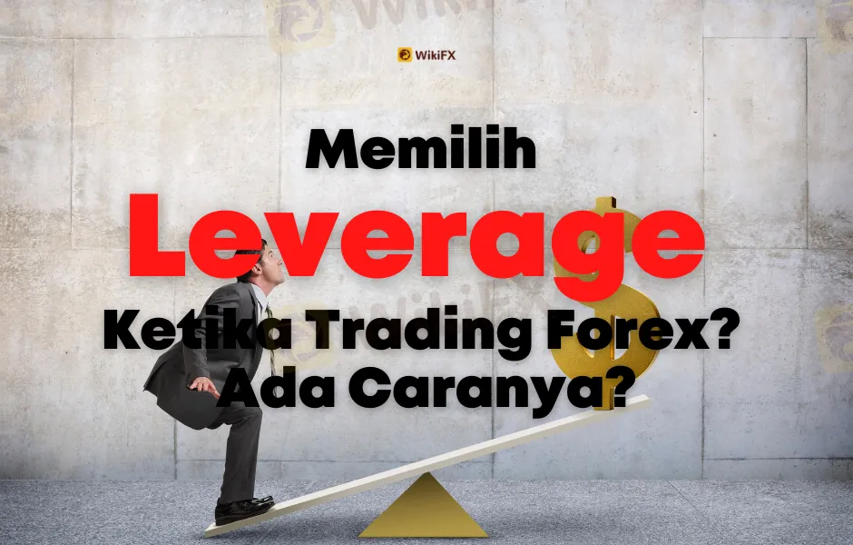 memilih-leverage-ketika-trading-forex-ada-caranya