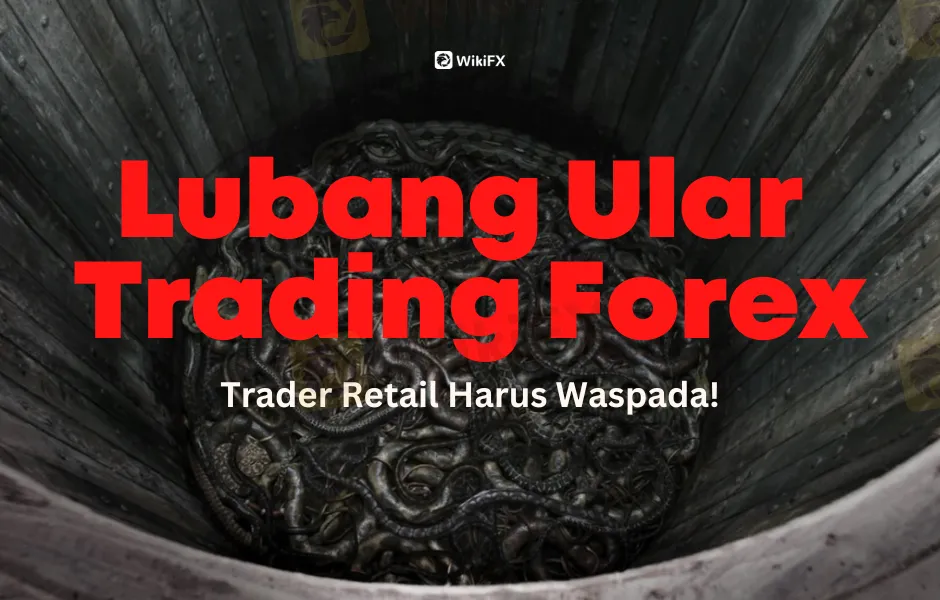 lubang-ular-trading-forex--waspadalah-trader-retail
