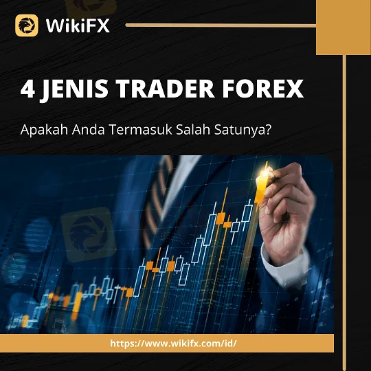 4-jenis-trader-forex-apakah-anda-termasuk-salah-satunya