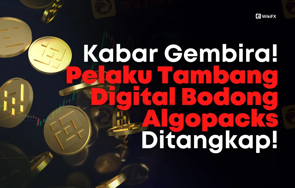 Kabar Gembira! Pelaku Investasi Bodong Algopacks Ditangkap!