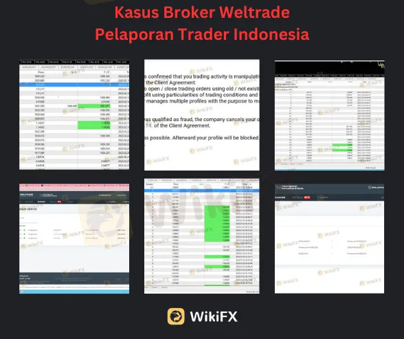 BABAK BELUR! Dana Trader Indonesia Dibawa Kabur Broker Weltrade