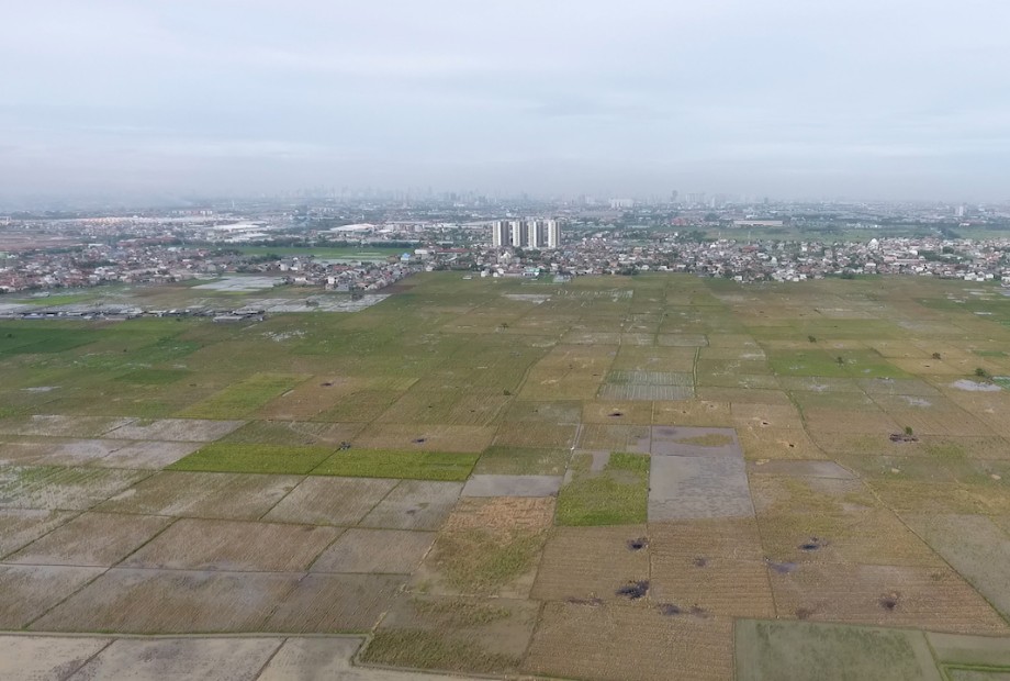 Sawah di Jakarta, emang masih ada? &#91;PASTI GAK PERCAYA&#93;