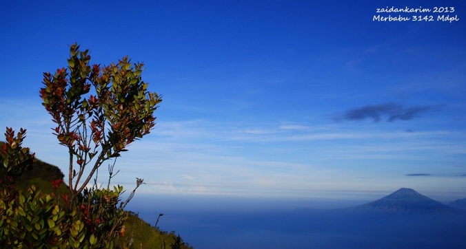 Catatan Indah Perjalanan Gunung Merbabu 3142 Mdpl