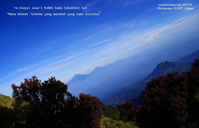 Catatan Indah Perjalanan Gunung Merbabu 3142 Mdpl