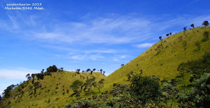 Catatan Indah Perjalanan Gunung Merbabu 3142 Mdpl