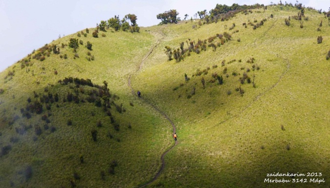 Catatan Indah Perjalanan Gunung Merbabu 3142 Mdpl