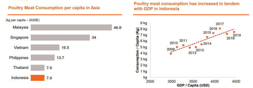 digging-the-asset--understanding-poultry-industries